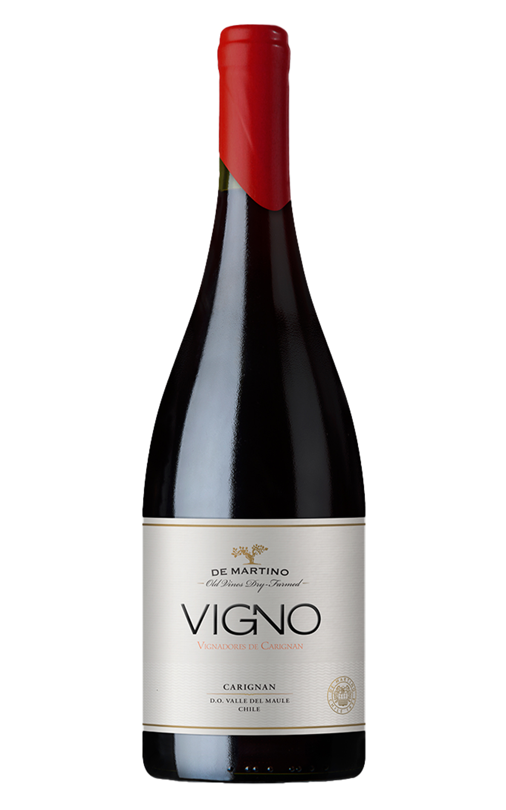 De Martino Old Vines Dry Farmed Vigno Carignan 2019 迪馬提諾酒莊 維諾 旱耕卡利濃老藤紅酒