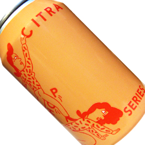 Mikkeller-Mikkeller Single Hop Citra IPA