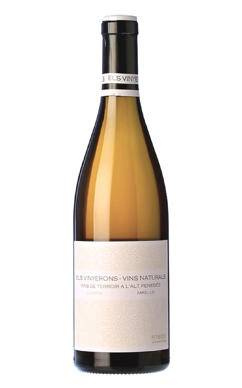 Els Vinyerons Lluerna Penedes Xarel lo 2023 阿莫酒莊 螢火蟲 白酒