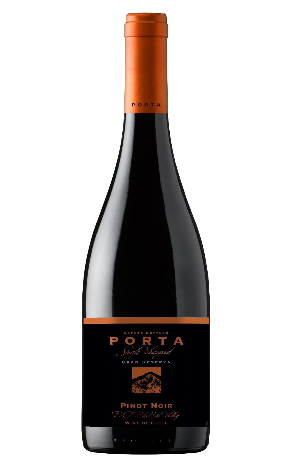 Vina Porta Gran Reserva Single Vineyard Pinot Noir 2015 波塔酒莊 特選陳年單一園系列 黑皮諾紅酒
