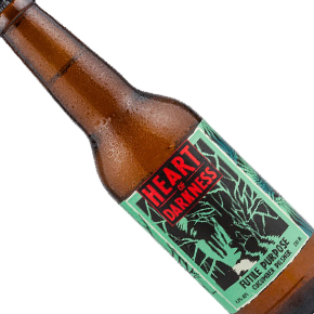 Heart of Darkness-Futile Purpose Cucumber Pilsner