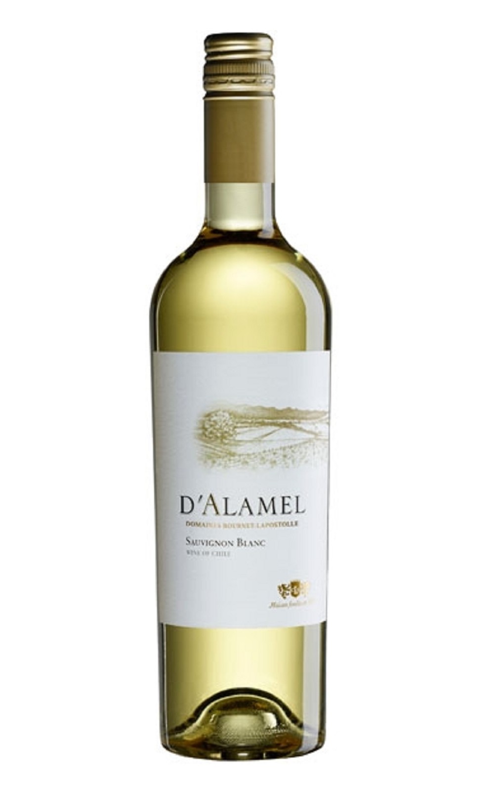 D Alamel Sauvignon Blanc 2014 黛拉美 白蘇維濃白酒