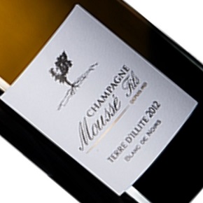 Champagne Moussé Fils-"Terre d'Illite" Blanc de Noirs Extra Brut Millésime