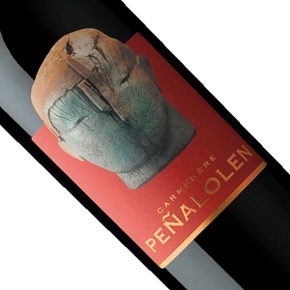 Domus Aurea-Peñalolén Carménère