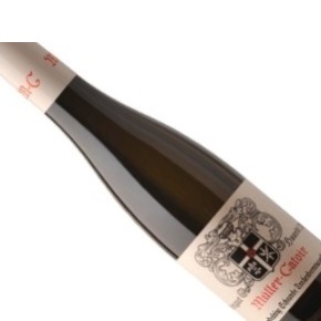 Müller-Catoir-Gimmeldingen Schlössel Rieslaner Trockenbeerenauslese