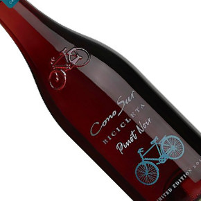 Cono Sur-Bicicleta Pinot Noir