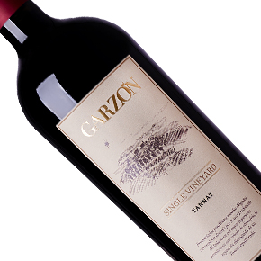 Bodega Garzón-Tannat Single Vineyard