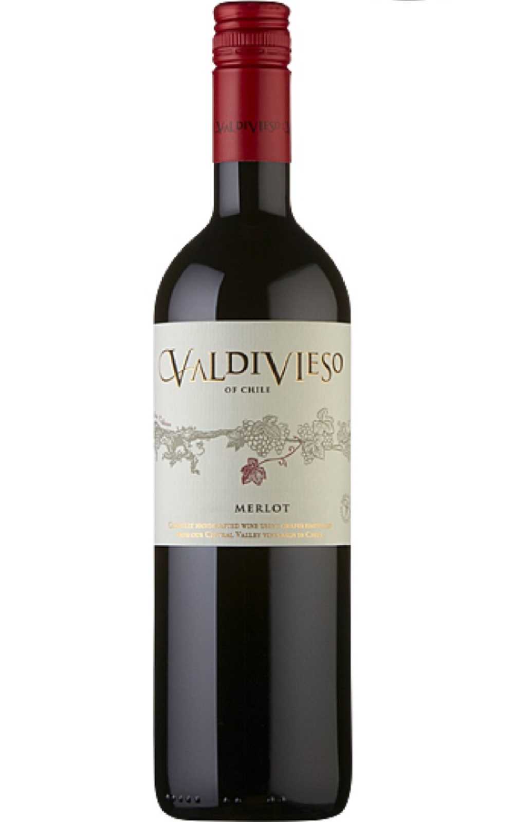 Vina Valdivieso Merlot 2019 威帝偉士酒莊 梅洛紅酒
