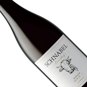 Weingut Karl Schnabel-"Hochegg" Morillon