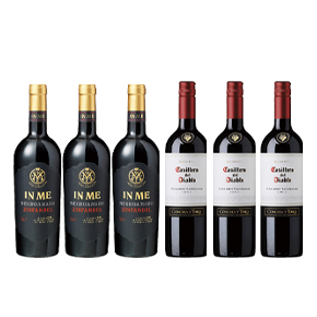 iCheers Special Set-"Casillero del Diablo X IN ME" 6 Bottle Set（750ml*6）