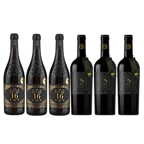 iCheers Special Set-Cielo e Terra X Botter 6 Bottle Set（750ml*6）