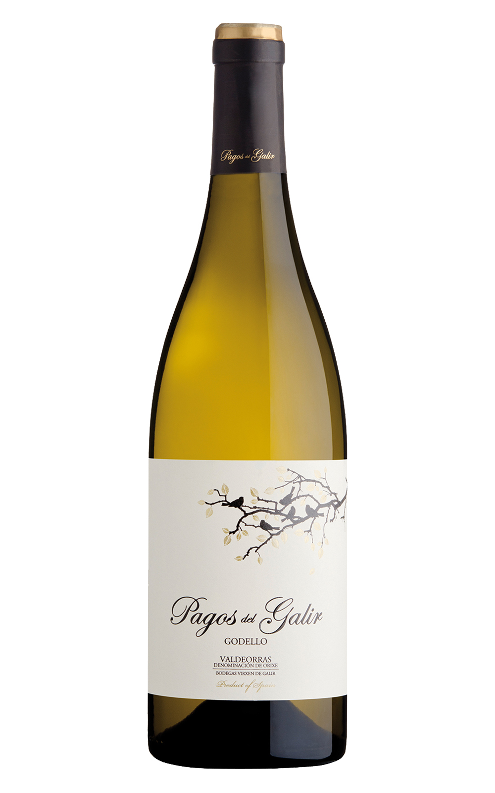 Virgen del Galir Pagos del Galir Godello 2018 加里爾酒莊 加里爾歌德約白葡萄酒
