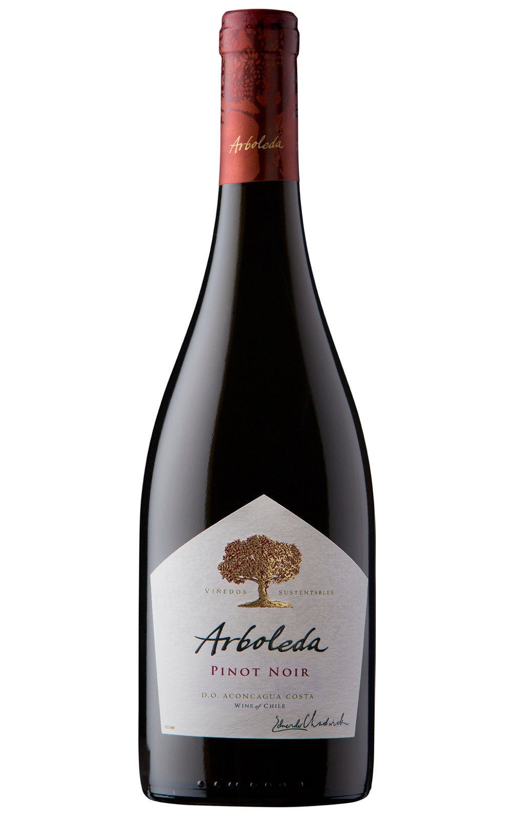 Arboleda Pinot Noir 2017 阿貝利達酒莊 黑皮諾紅酒