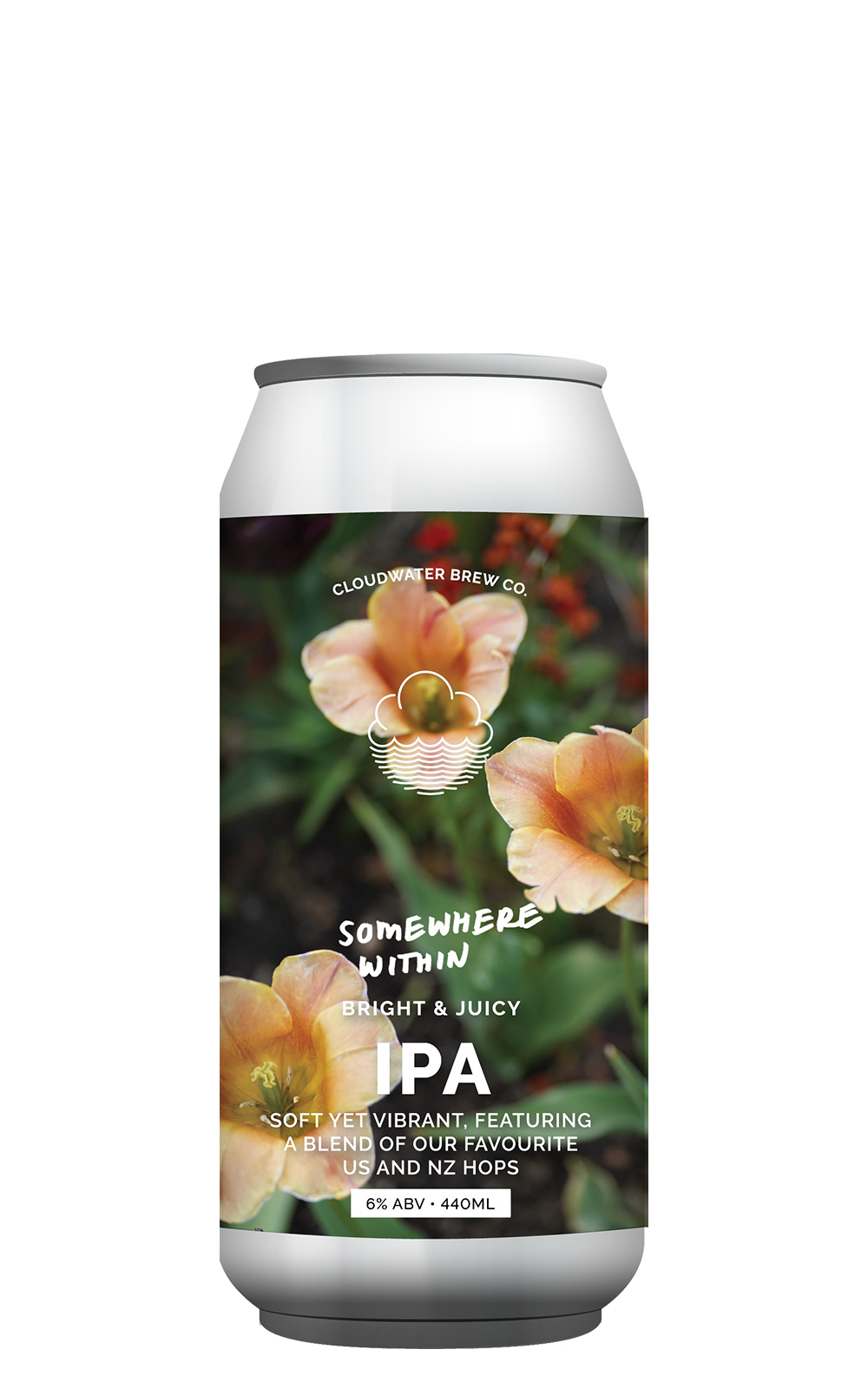 Cloudwater Brewery Somewhere Within IPA 雲水釀酒廠 心在何處 IPA