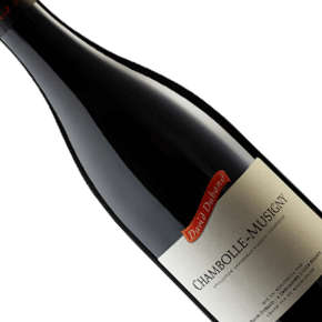 Domaine David Duband-Chambolle-Musigny