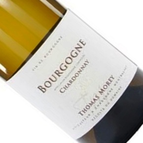 Domaine Thomas Morey-Bourgogne Blanc