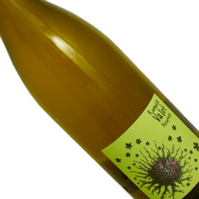 Romuald Valot-"Anticonformiste" Beaujolais Chardonnay  Blanc