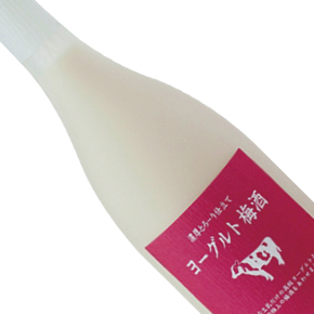 杉能舎酒造-ヨーグルト梅酒