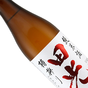 早川酒造-田光 純米酒