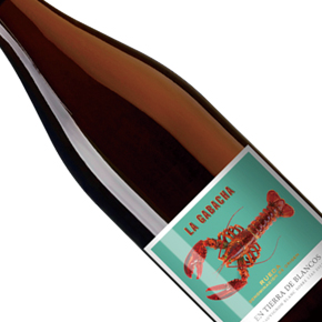 Casa Rojo-"La Gabacha" Sauvignon Blanc