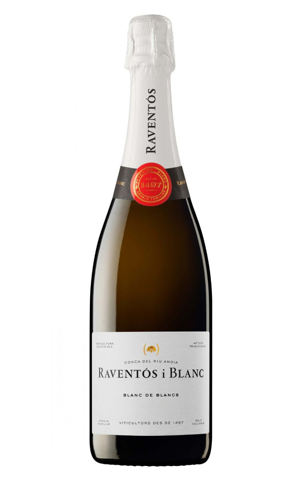 Raventos i Blanc Blanc de Blancs 2020 雷萬德斯酒莊 白中白 不甜氣泡酒