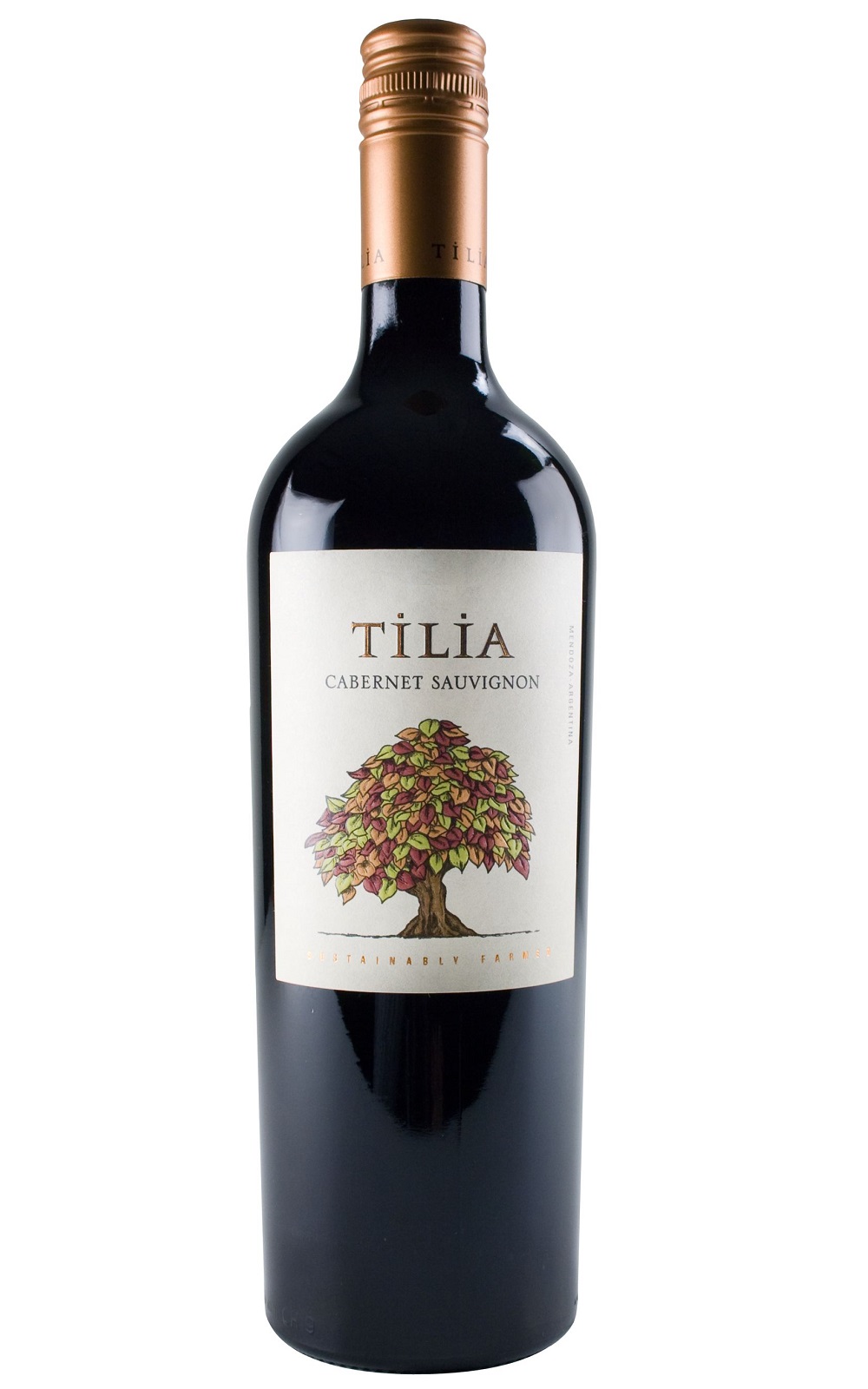 Catena Zapata Tilia Cabernet Sauvignon 2014 卡帝那 沙巴達酒莊 蒂利亞 卡本內蘇維濃紅酒