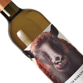 Bodegas Fontana-"Oveja" Naranja