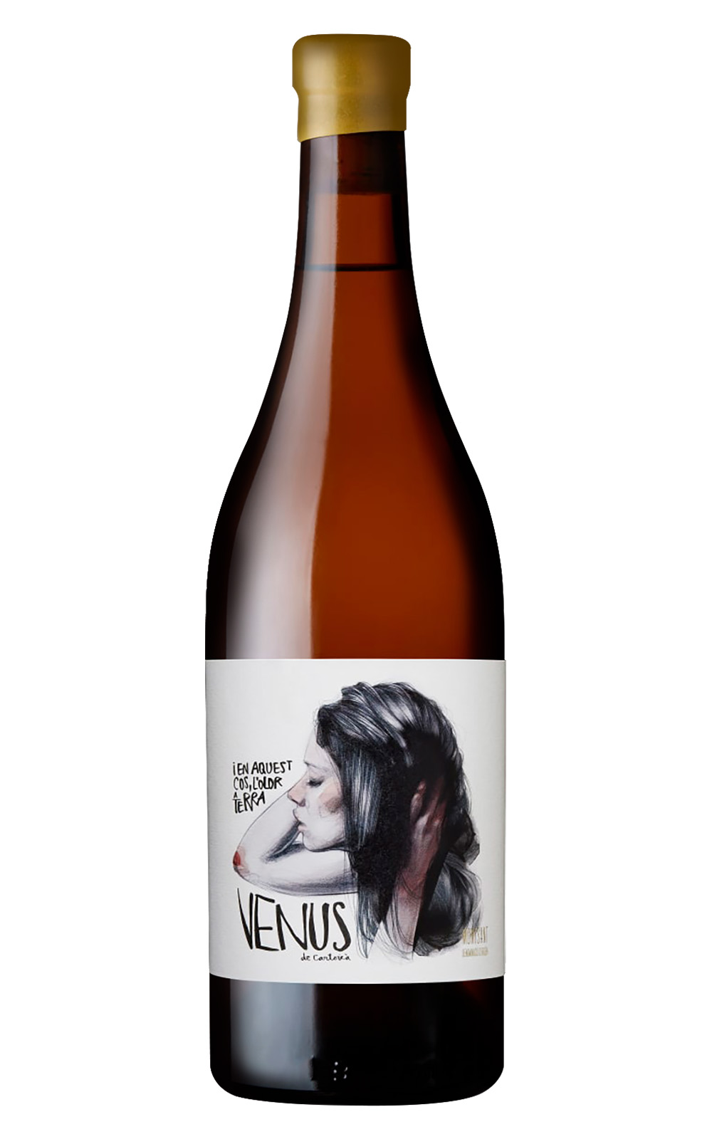 Venus la Universal Venus de Cartoixa Montsant Blanc 2016 維那斯酒莊 維納斯 卡多恰 蒙桑特白酒