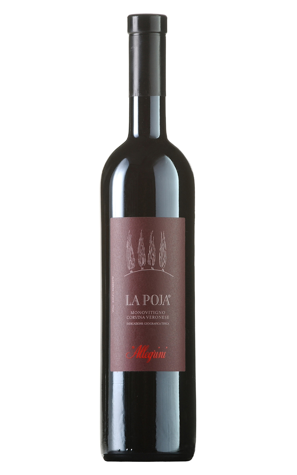 Allegrini La Poja IGT 2016 亞樂格尼酒莊 波哈紅酒