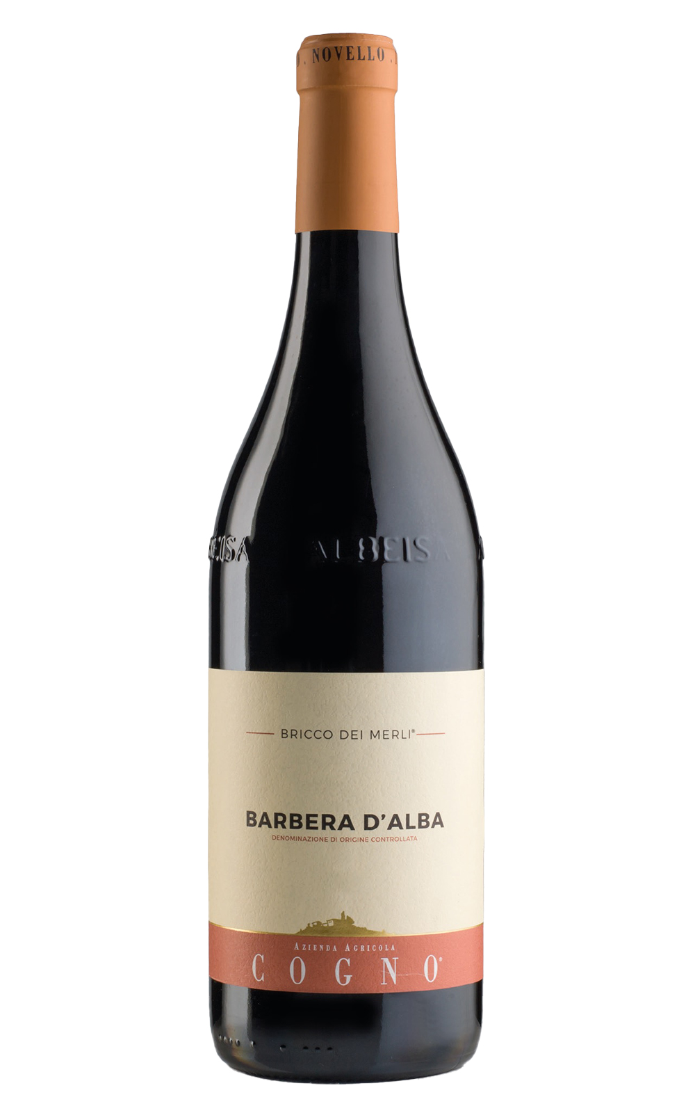 Elvio Cogno Bricco dei Merli Barbera d Alba 2016 艾維歐‧康諾酒莊 黑鳥丘 阿爾巴巴貝拉紅酒