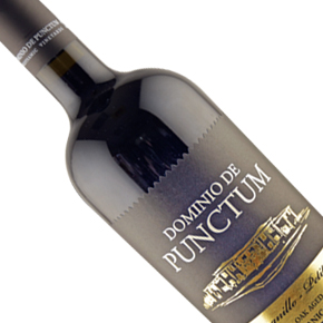Dominio de Punctum-Tempranillo-Petit Verdot