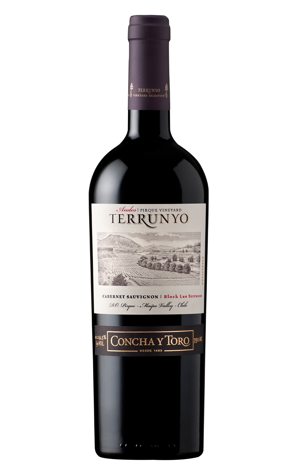 Vina Concha y Toro Terrunyo Cabernet Sauvignon 2015 孔雀酒廠 泰若妮卡本內蘇維濃紅酒