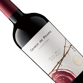 Viña Concha y Toro-"Carmín" de Puemo Carmenere