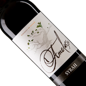 Vinos & Bodegas-Amelasio Syrah