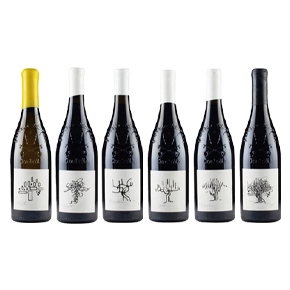 Domaine Pierre Usseglio & Fils-Coffret Collection 2015 6-Bottle Set（750ml*6）
