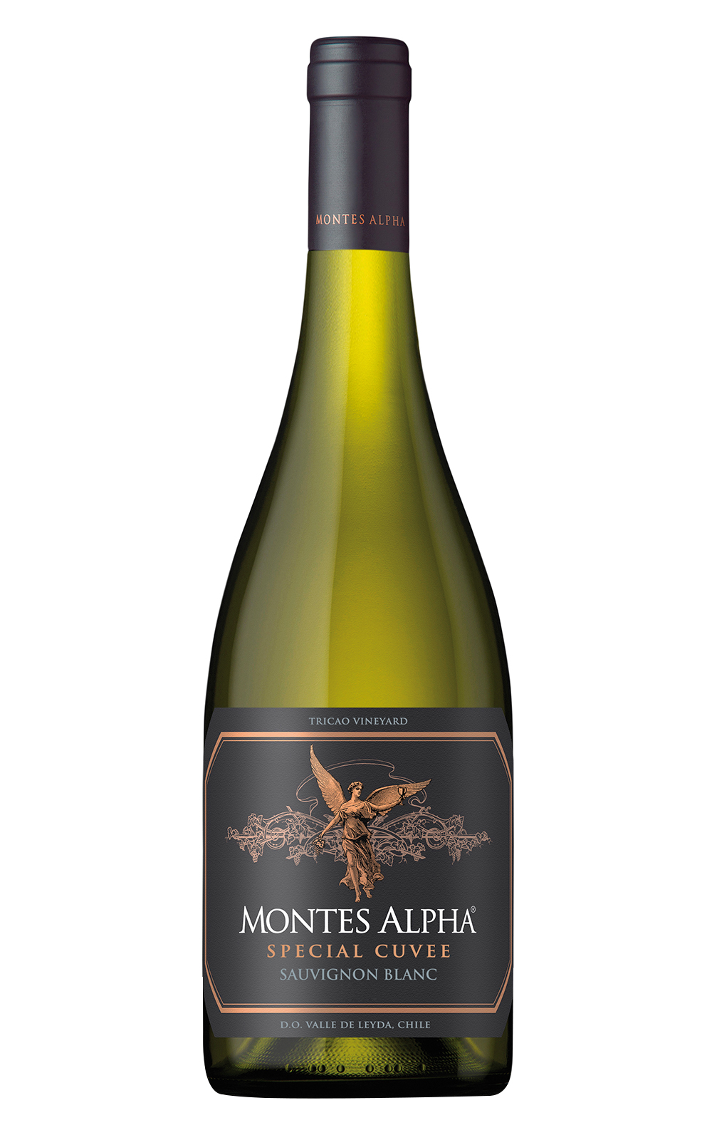 Vina Montes Alpha Special Cuvee Sauvignon Blanc 2021 蒙帝斯酒莊 阿法精釀系列 白蘇維濃白酒
