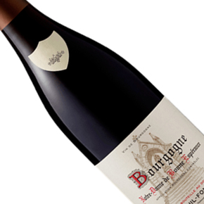 Domaine Dubreuil-Fontaine-Bourgogne "Notre Dame de Bonne Espérance" Rouge