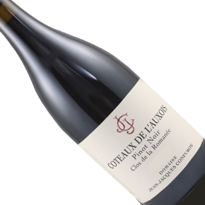 Domaine Jean-Jacques Confuron-Coteaux de l'Auxois Pinot Noir