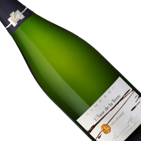 Champagne Françoise Bedel -"L'Âme de la Terre" Millésime Brut