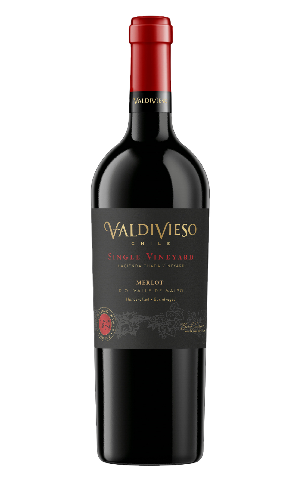 Vina Valdivieso Single Vineyard Merlot 2018 威帝偉士酒莊 單一園系列 梅洛紅酒