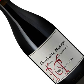 Philippe Pacalet-Chambolle-Musigny 1er Cru "Les Lavrottes"