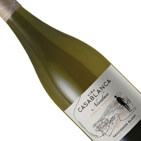 Viña Casablanca-Nimbus Single Vineyard Sauvignon Blanc