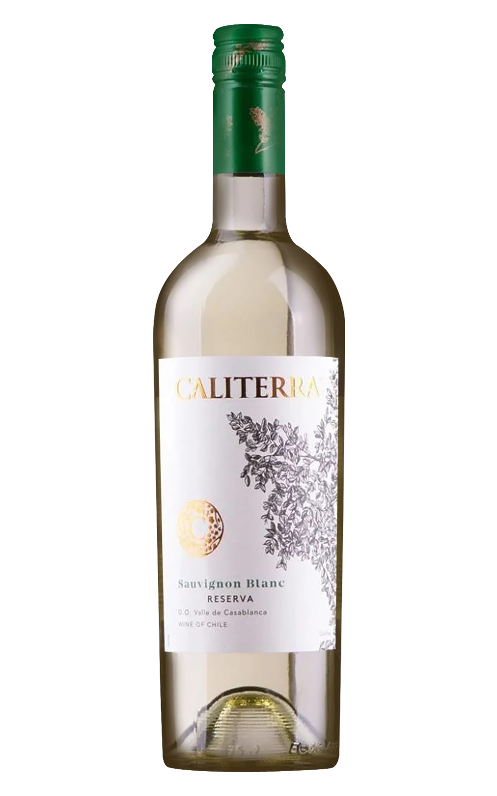 Caliterra Reserva Sauvignon Blanc 2022 卡利德拉酒莊 陳釀系列 白蘇維濃白酒