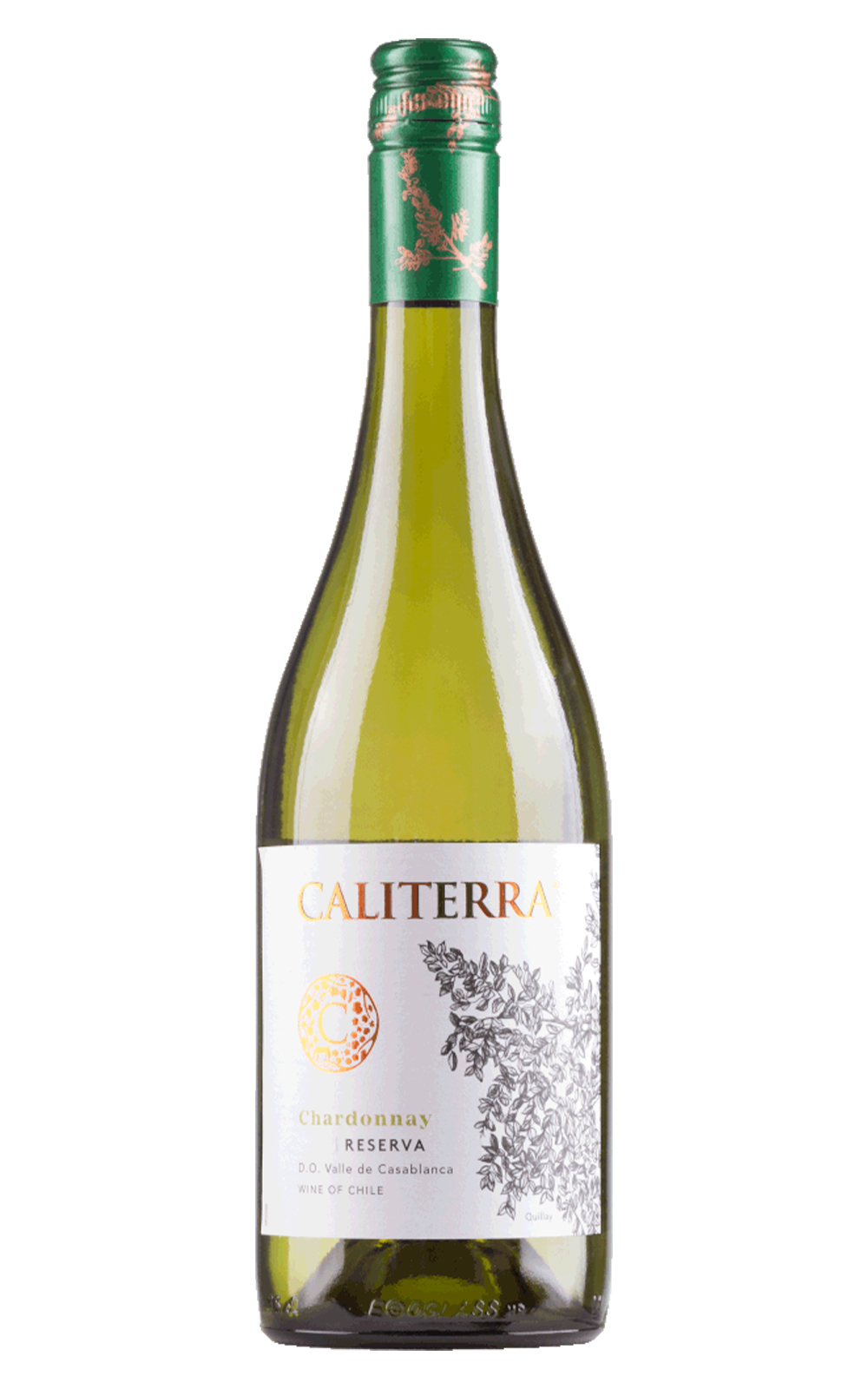 Caliterra Reserva Chardonnay 2022 卡利德拉酒莊 陳釀系列 夏多內白酒