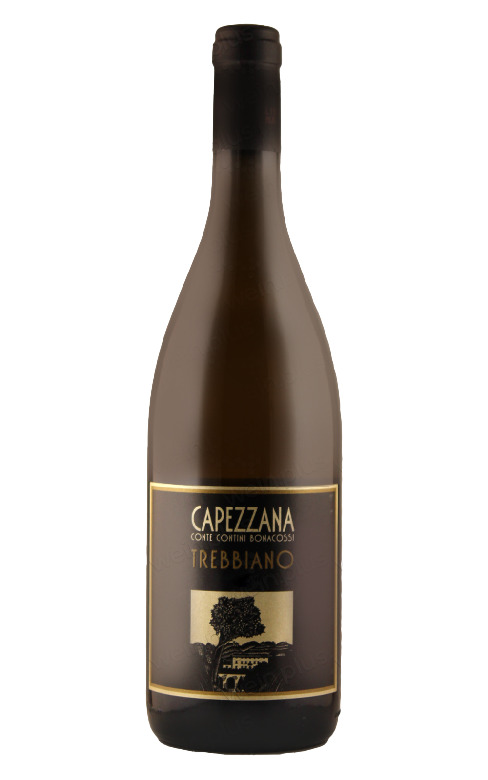 Capezzana Trebbiano 2018 卡培拉娜酒莊 崔比亞諾白酒