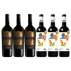 iCheers Special Set-"Marqués de Longares X Montedidio" 7 Bottle Set ("Reliance" 750ml*6+"Papias" 750