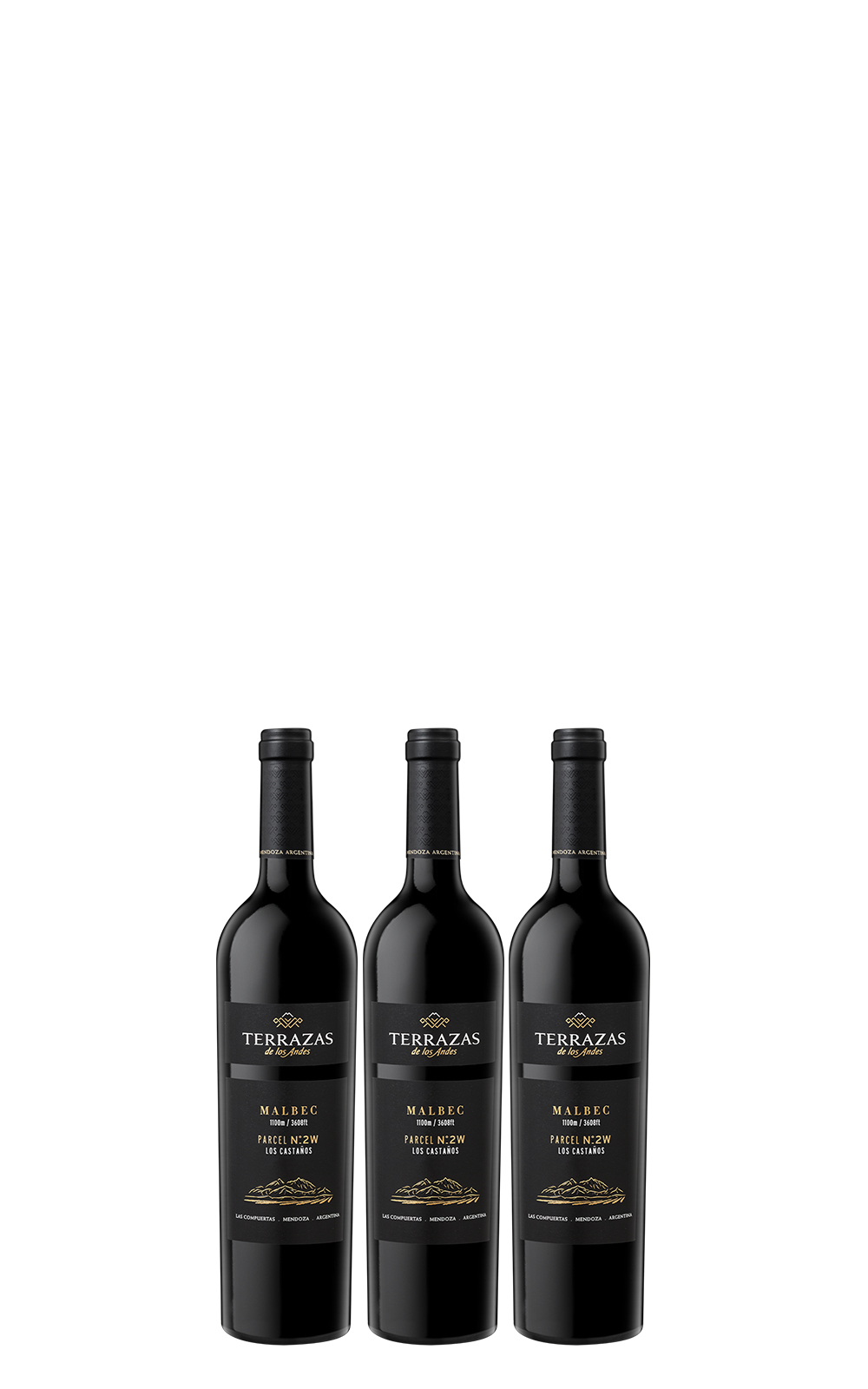 Terrazas de los Andes Parcel Los Castaños N°2W Malbec 3 bottle Set 2016 安地斯台階酒莊 單一地塊系列 栗園 N°2W馬爾貝克紅酒 三瓶組