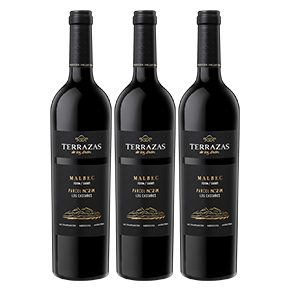 Terrazas de los Andes-Parcel "Los Castaños" N°2W Malbec 3-bottle Set