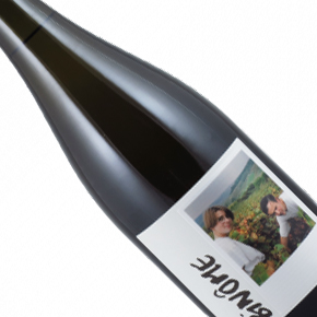 Charles Dufour-Binôme