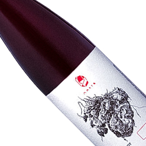 Marto Wines-Pinot Noir